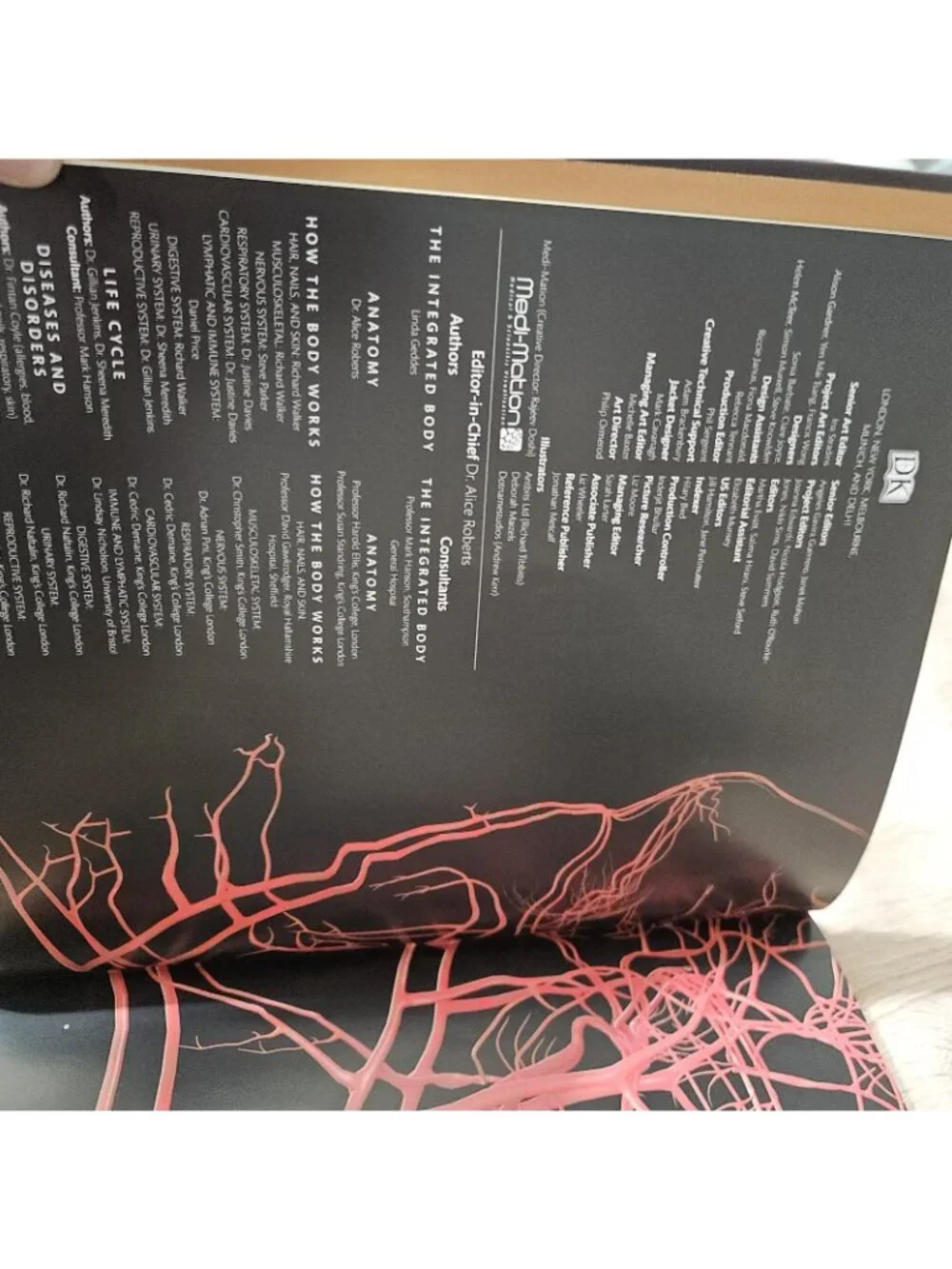 The Complete Human Body The Definitive Viual Guide By Dr Alice Roberts